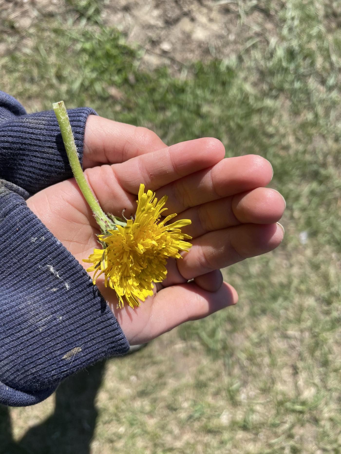 Muttertag_2021_1 Muttertag_2021_1