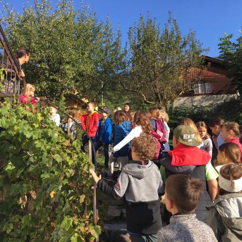 Ausstellung_Nussdorf_2019_4