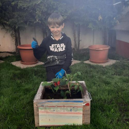 Garten_2020_1
