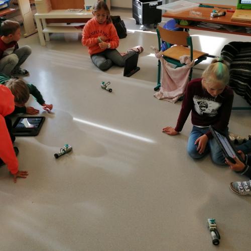 Legowedo2020_2