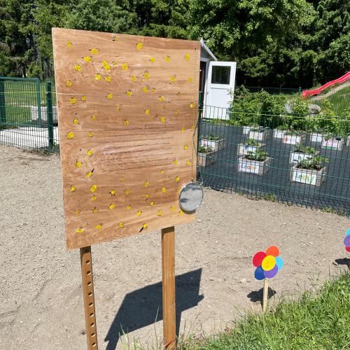 garten2021_5