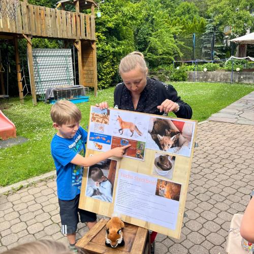 Fuchs_6
