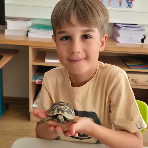 Turtle2026_19