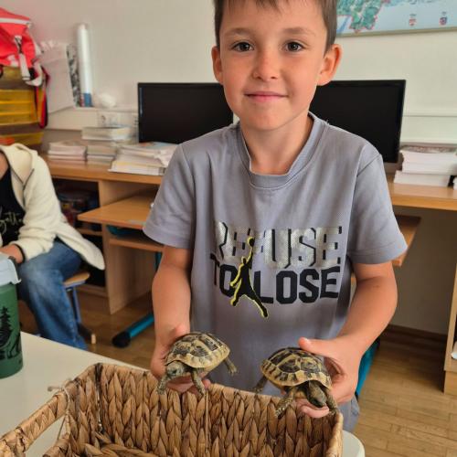 Turtle2026_2