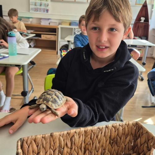 Turtle2026_12