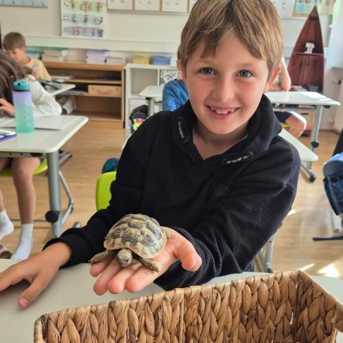 Turtle2026_17