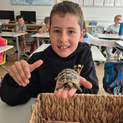 Turtle2026_14