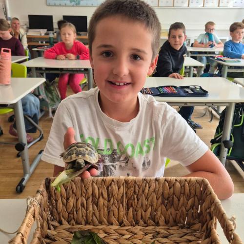 Turtle2026_18